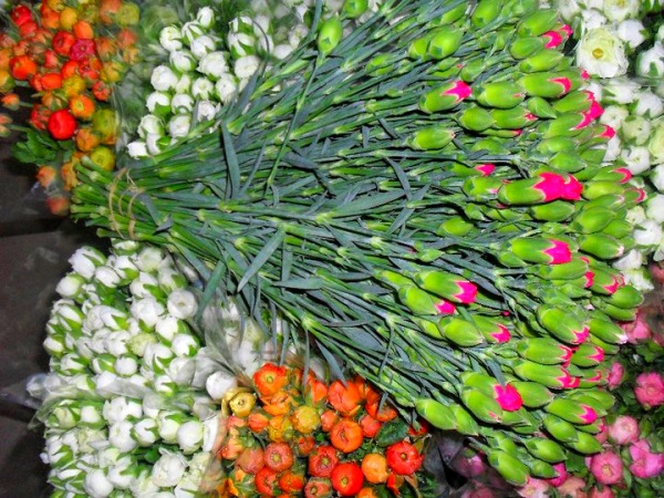 цветы Турция, импорт цветов в Россию
